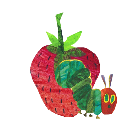 cat strawberry image